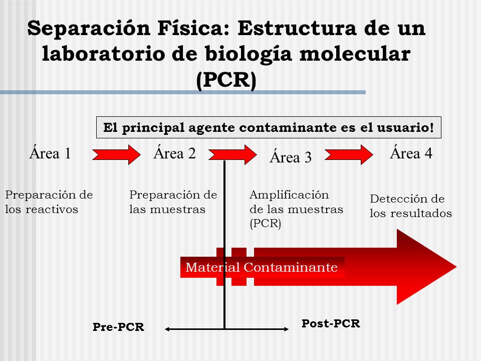 pcr biologi pcr biologi